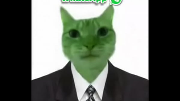 Nonton Hay Un Gato Verde Y Arriba Dice Whatsapp Osea La Cosa Mas &eacute;pica Del Mundo thumbnail