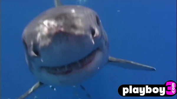 Sexy big titslesbians enjoys wet games after diving