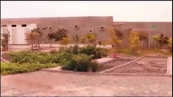 Se pajea para su gil