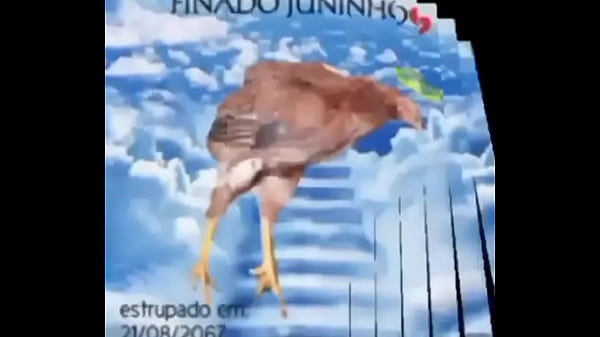 Finado junido rip 