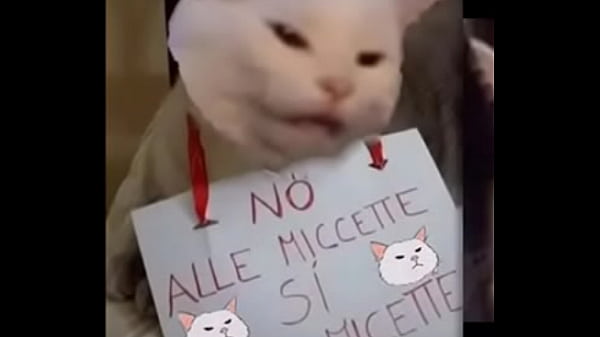 Video di verifica