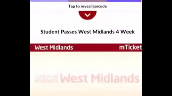 why do birds like dick when pc fucks your mon