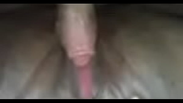 Nonton Img 1282 thumbnail