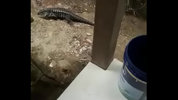 Nonton Sei La So Um Video thumbnail