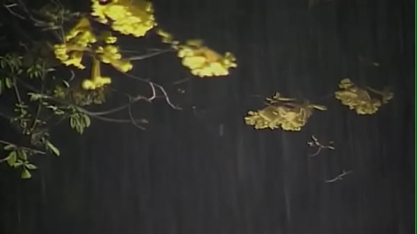 Nonton Muito Boa thumbnail