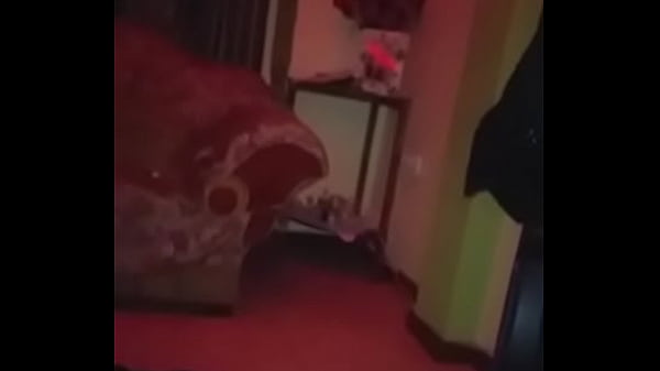 Le mamo bien rico la polla a mi macho