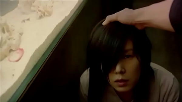 Mote Aquarium 2013xvd