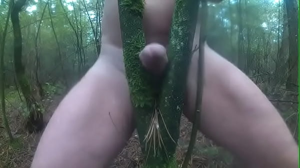 Play MP4 - Fucking trees 04