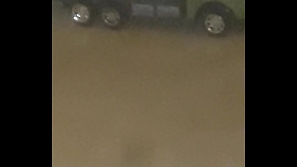 فيديو التحقق 