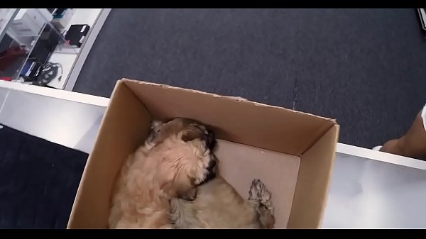 Nonton Sweet Reality Playgirl Is Sucking thumbnail