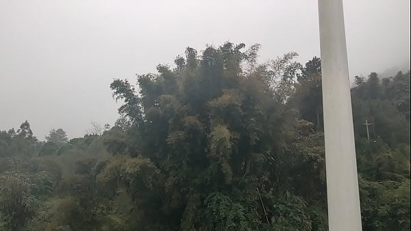 验证视频