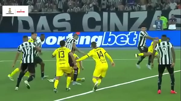 peñarol_pide bija y botafogo le_da anal