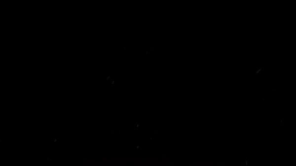 Nonton New Year Resolution ( Hard Fuck With My Sweetheart) thumbnail