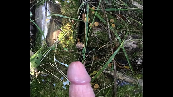 Img 9913.mov thumbnail