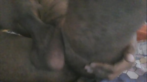 Dandome placer solito