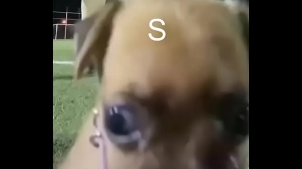 Nonton Yes thumbnail