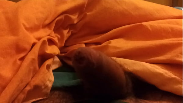 Nonton 20140307 055602 thumbnail