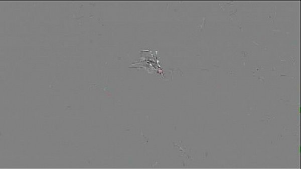 Hot Sexy Girl Insert Sex Toys In Her Holes vid-10 