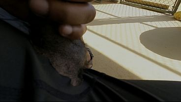 Bbc Public Masturbation At Field thumbnail