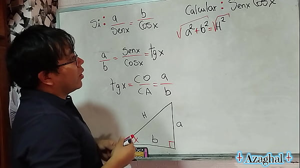 46 matem&aacute;ticas sexuales para tu y anime