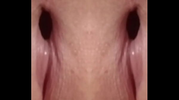 Double Penetration Of My Anus By My Own Penis With One Or Two Dildos Is A Fun Way To Make My 75th Birthday Memorable thumbnail