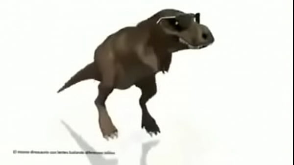 Rebolando a raba enquanto usa &oacute;culos de sol