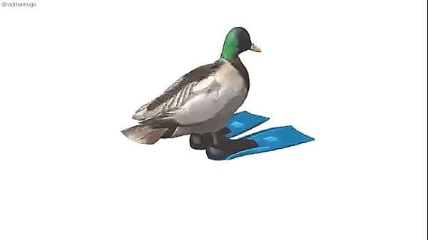 Pato girando con m&uacute;sica de geometry dash de fondo 