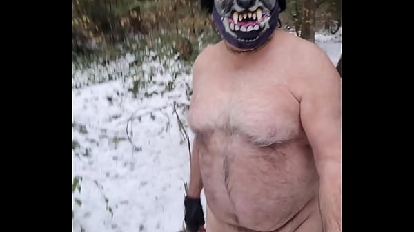 Play MP4 - Winter Wonder Wolf