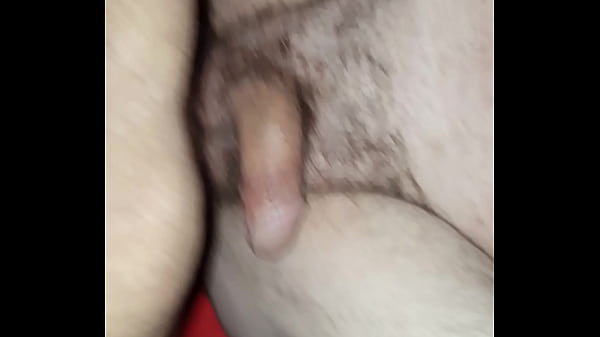 Play MP4 - Mi vecino el jotito