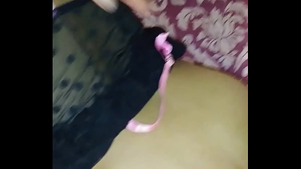 De perrito d&aacute;ndole verga 