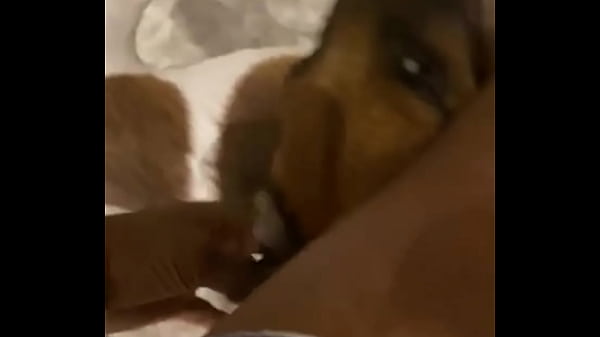 I know a guy who has his own private jet he wants to take me to malibu for dinner at nobu tomorrow night for dinner with 