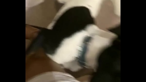 Nonton I Know A Guy Who Has His Own Private Jet, He Wants To Take Me To Malibu For Dinner At Nobu Tomorrow Night For Dinner With ... thumbnail