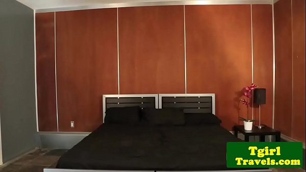 Play MP4 - Tattooed shemale babe gets her ass banged