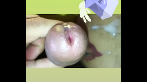 Morena&ccedil_o Belzebu