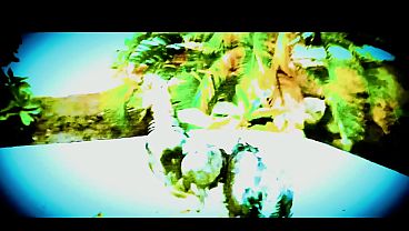 Cumlobian dickdrainers goonie team 