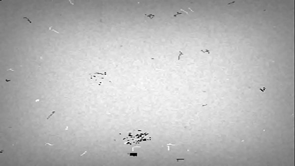 trim.D873BB8B-75E9-4CD8-A691-6FFB56447FA8.MOV 