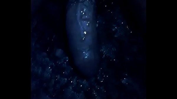 VID 20170417 113239