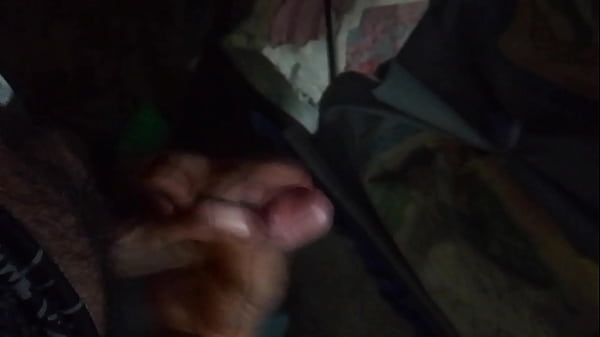 Elvergaz2 - update #5 - VID 20241021 035031 - Oct 21, 2024 