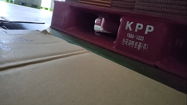 验证视频