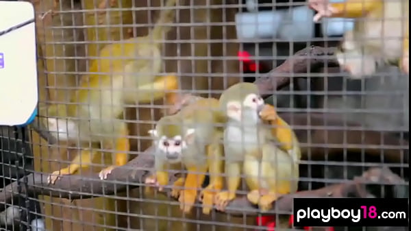 Real american blondie Shawn Dillon with big fake boobs presenting a sensual striptease