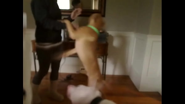 Incredible sexy honey having