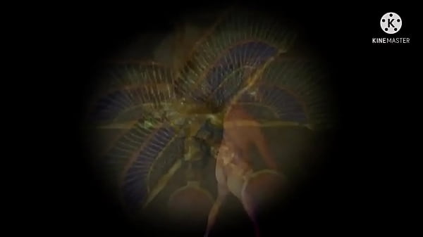 Play MP4 - DIVA DICK Why Try