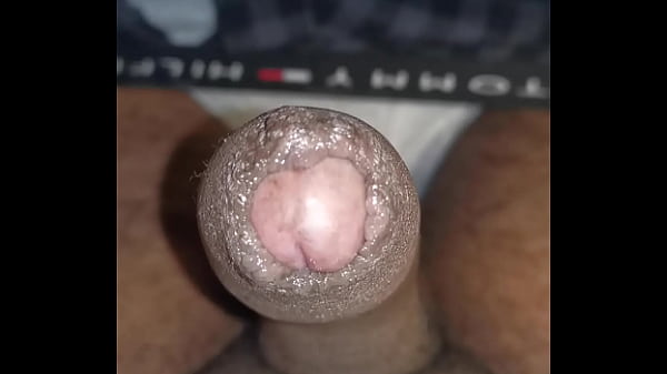 Indian Cock Moving thumbnail