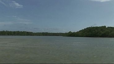 Nonton Barbie Banks Ass And Pussy Stretched Out By Two Big Cocks | Double Penetration thumbnail