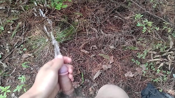 山间初体验 惊喜不断