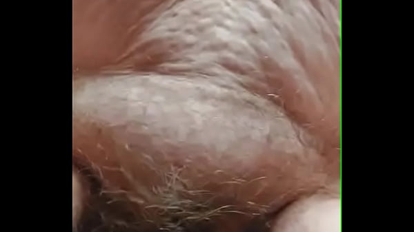 Granny hairy pussy peeing 