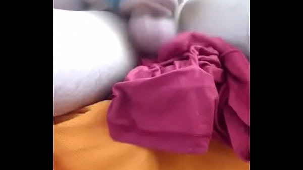 Rico chacal mexicano