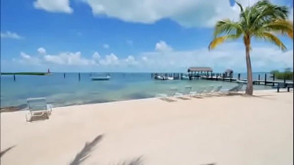 Nonton Good Toon thumbnail