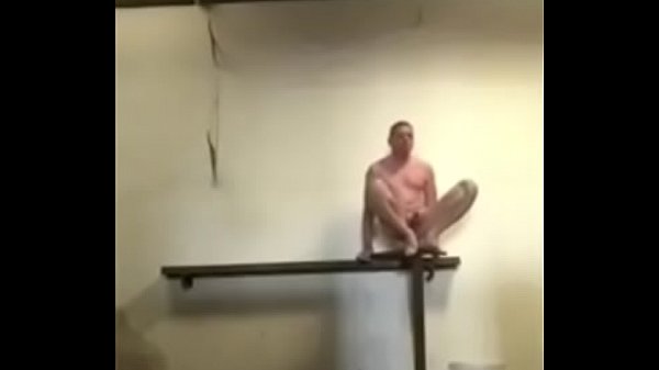 cock in my ass 