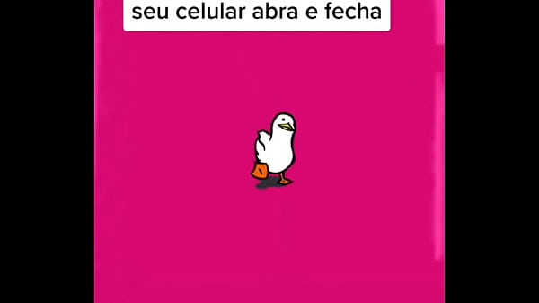 Um video fofo